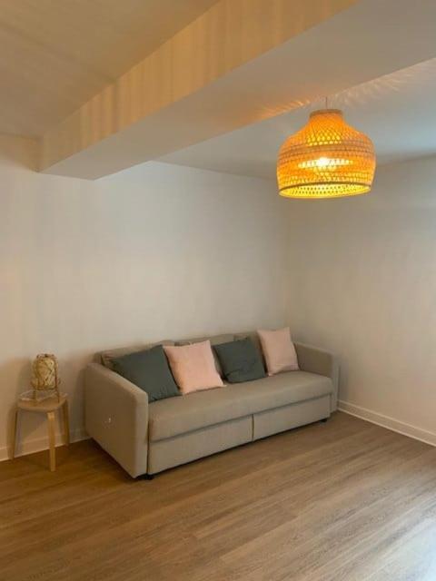 Tour D'Auvergne - Appartements En Plein Centre Ville, Proche De La Cathedrale Et De La Place De Jaude 克莱蒙费朗 外观 照片